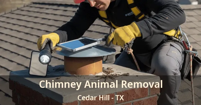 Chimney Animal Removal Cedar Hill - TX