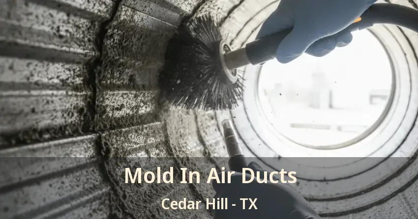 Mold In Air Ducts Cedar Hill - TX