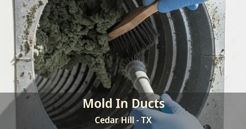 Mold In Ducts Cedar Hill - TX